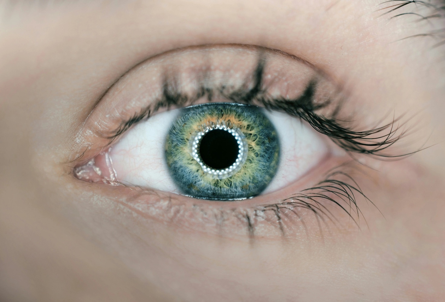 L'utilisation des mouvements oculaires en thérapie psychocorporelle - EMDR - EMAR