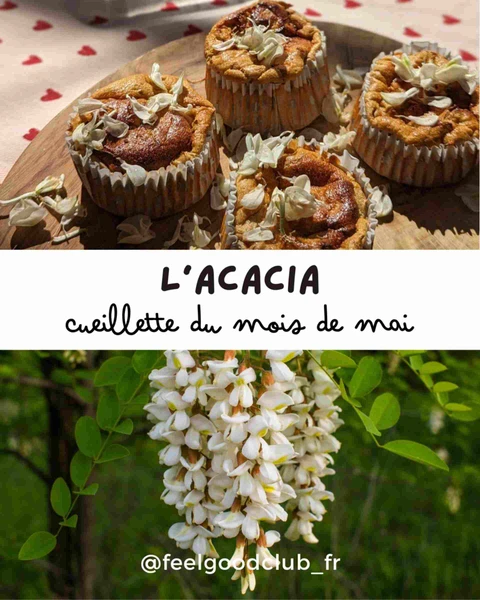 Fleurs d'Acacia en Cuisine
