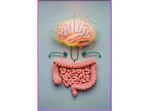 Comment en finir avec les troubles digestifs et retrouver un confort naturel ?