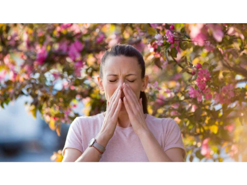 Rhinites allergiques à Hyères : soulager naturellement grâce à la naturopathie