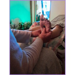 Arbre vert avec ses racines visibles en profondeur dans la terre, symbole d’ancrage, de force intérieure et d’équilibre naturel.